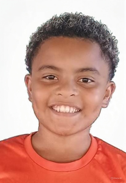 PAULO HENRIQUE ALVES SA