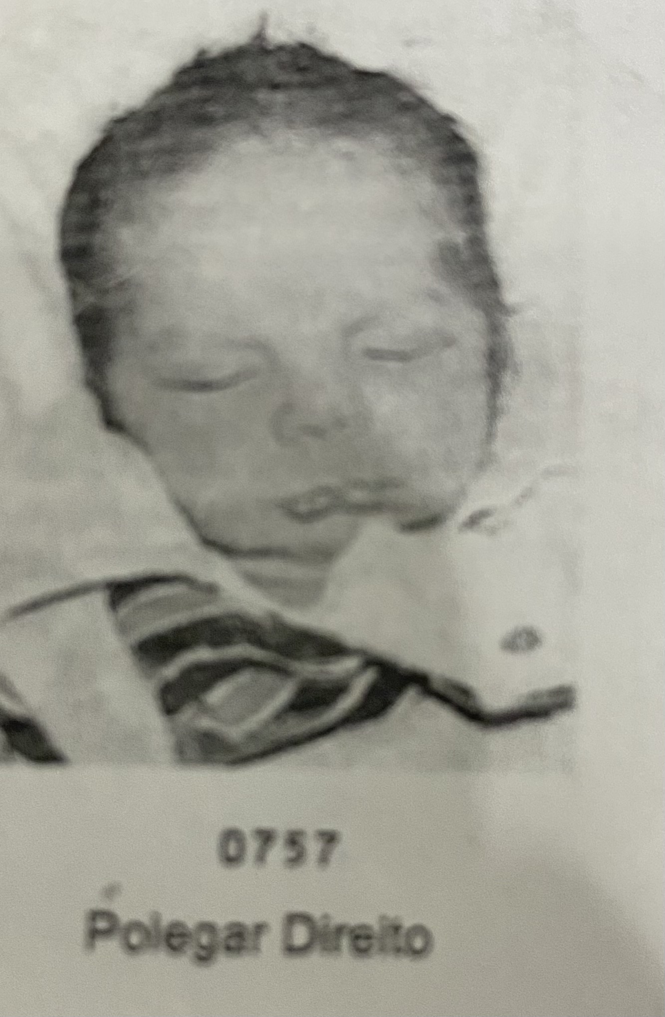 JOAQUIM MIGUEL FERREIRA FALCÃO