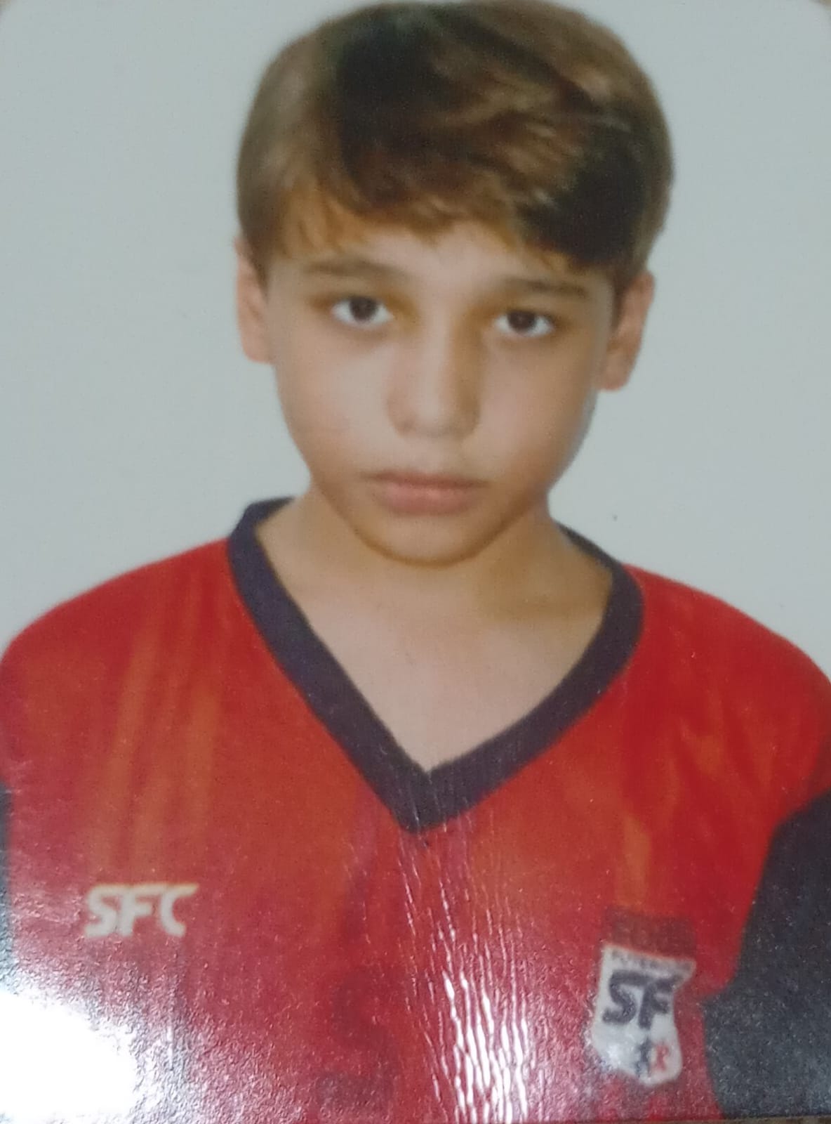 PEDRO LUIZ HORA ALVES SOSSAI