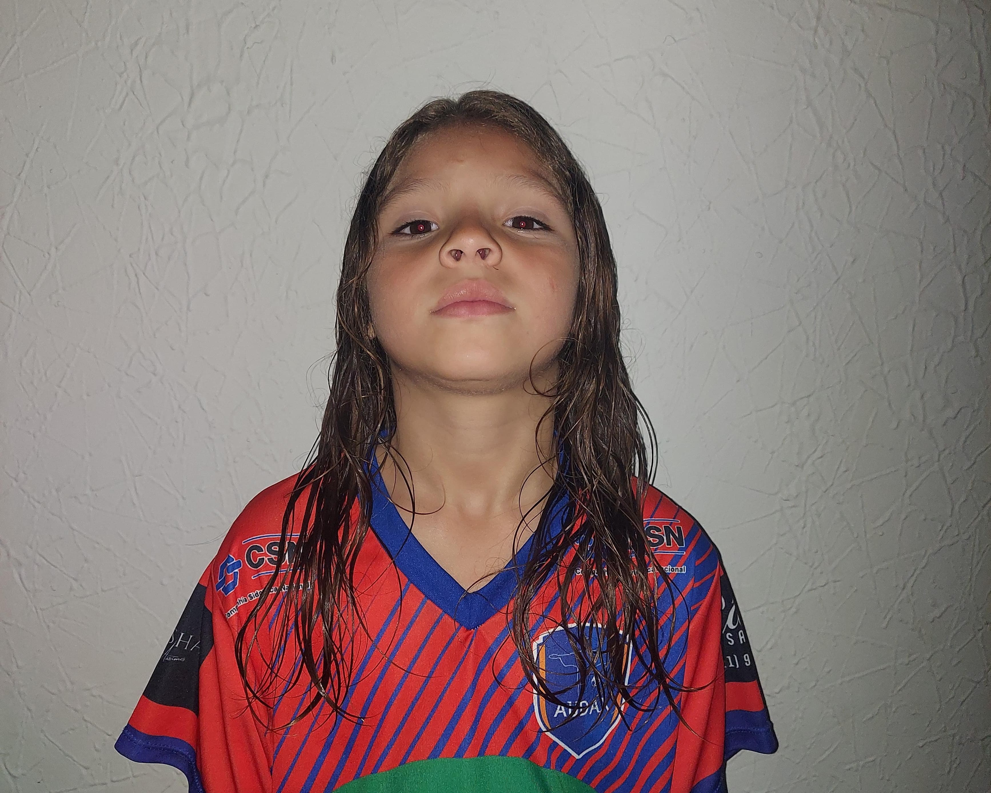 PEDRO HENRIQUE DE ARAÚJO DOS SANTOS 